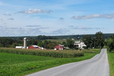 Another Photo of My Favorite Amish Farm Road