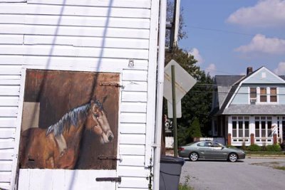Alley Horse