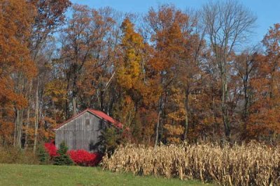 November Homestead