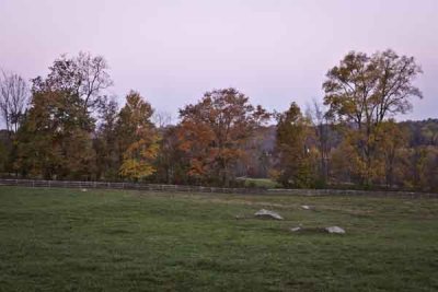 Springton Manor Pasture in Autumn (89)