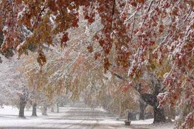 Our Street in the Snowstorm