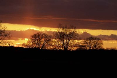 Fiery Sunset at Valley Forge National Park