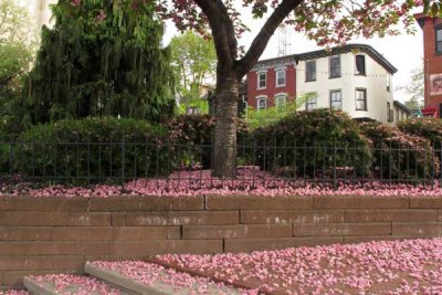 Springtime in Manayunk