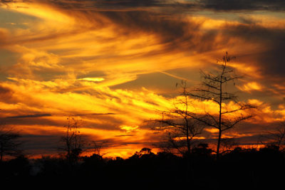 February 10 Everglades Sunset (165)