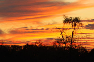 February 10 Everglades Sunset (180)