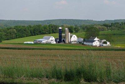Amish Farm Vista: Gault Road