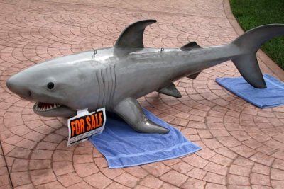 Shark For Sale (26)