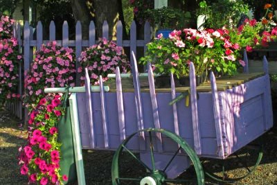 Tuckahoe Flower Cart