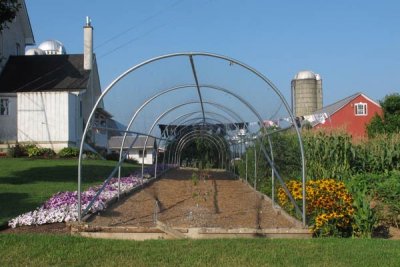 Farm/Greenhouse Life 1