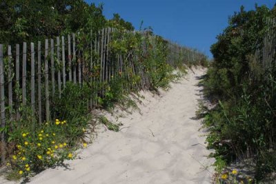 Rustic Beach Path