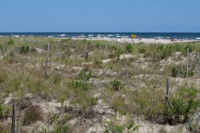 Dune View of Strathmere Beaches