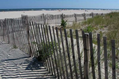 Dune Fencing in Strathmere