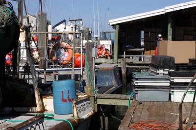The last commercial fishing dock in Sea Isle City, NJ