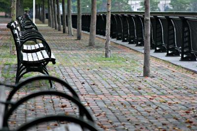 Morning Benches