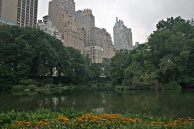 Central Park Vista II