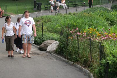 Central Park Strolling