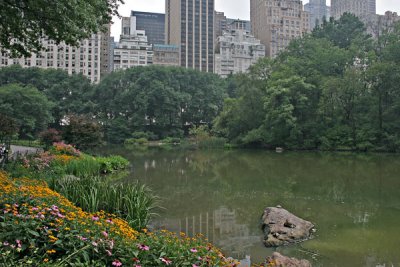 Central Park Vista III