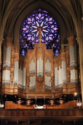 St. Patrick's Organ