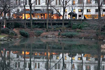 The Plaza Reflection