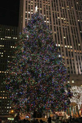 Rockefeller Tree at Night