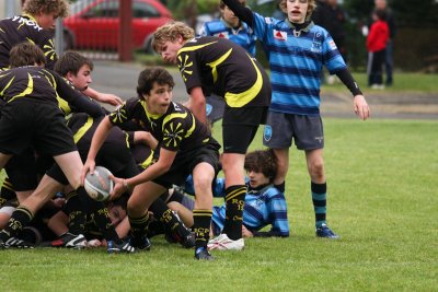 ASUB_Rugby_Orthez2011_360_800.jpg