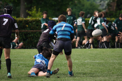 ASUB_Rugby_Orthez2011_539_800.jpg