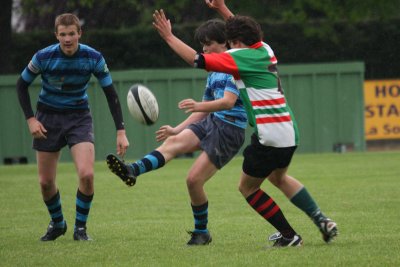 ASUB_Rugby_Orthez2011_291_800.jpg