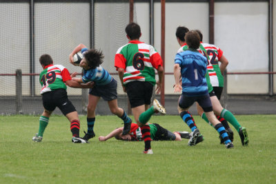 ASUB_Rugby_Orthez2011_303_800.jpg