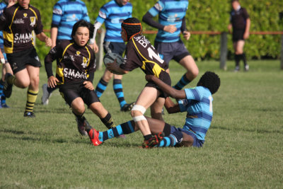 ASUB_Rugby_Orthez2011_395_800.jpg