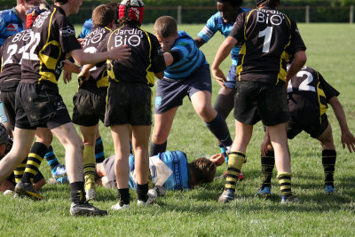 ASUB_Rugby_Orthez2011_423_800.jpg