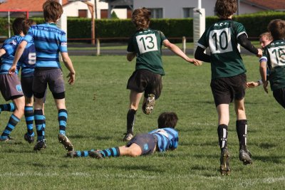 ASUB_Rugby_Orthez2011_431_800.jpg
