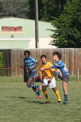 ASUB_Rugby_Orthez2011_433_800.jpg