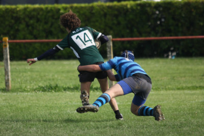 ASUB_Rugby_Orthez2011_453_800.jpg