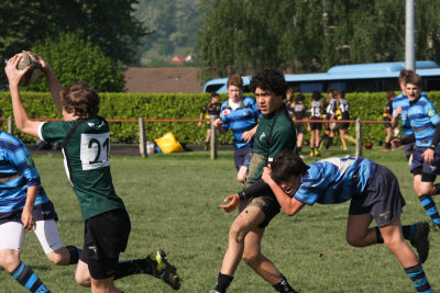 ASUB_Rugby_Orthez2011_472_800.jpg