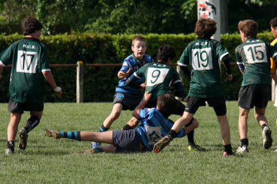 ASUB_Rugby_Orthez2011_497_800.jpg