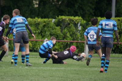 ASUB_Rugby_Orthez2011_504_800.jpg
