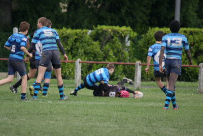 ASUB_Rugby_Orthez2011_505_800.jpg