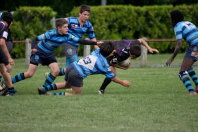 ASUB_Rugby_Orthez2011_519_800.jpg