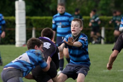 ASUB_Rugby_Orthez2011_556_800.jpg