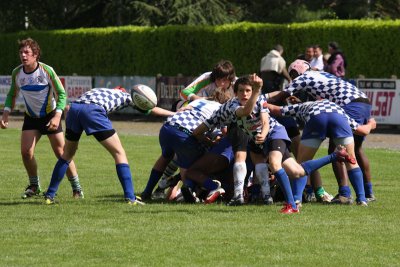 ASUB_Rugby_Orthez2011_582_800.jpg