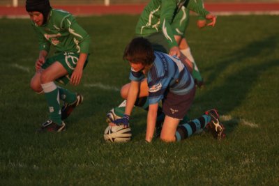 ASUB_Rugby_Orthez2011_030_800.jpg