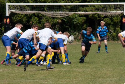 ASUB_Rugby_Wihogne_20110521_230_800.jpg