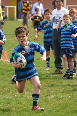 IMG_5533r640 72dpi.jpg