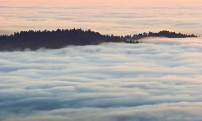 'Island' in fog bank_4624Cr2Ps`0607092028.jpg