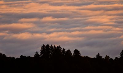 Fog bank colored pink & blue_4611Cr2Ps`0607092021.jpg