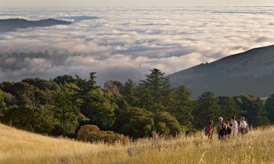 View toward fog bank_5631Cr2Ps`0607091957.jpg