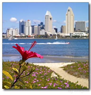 Downtown view across the San Diego harbor /from Coronado Island/
