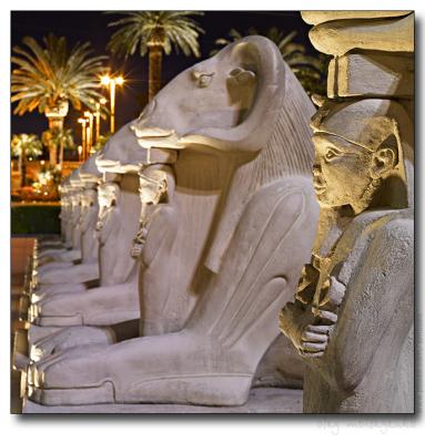 Line of Egyptian sculptures in front of Luxor hotel, Las Vegas, NV
