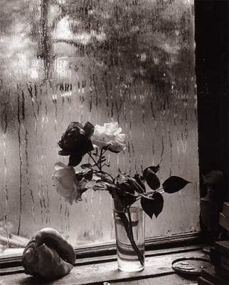 Last Roses, 1956