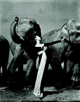 Dovima with Elephants, Evening Dress by Dior, Cirque d'Hiver, Paris, France, 1955